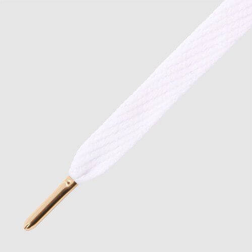 shoelace aglets